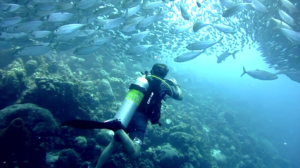 NAUI Advanced SCUBA Diver Course (Lynnwood)